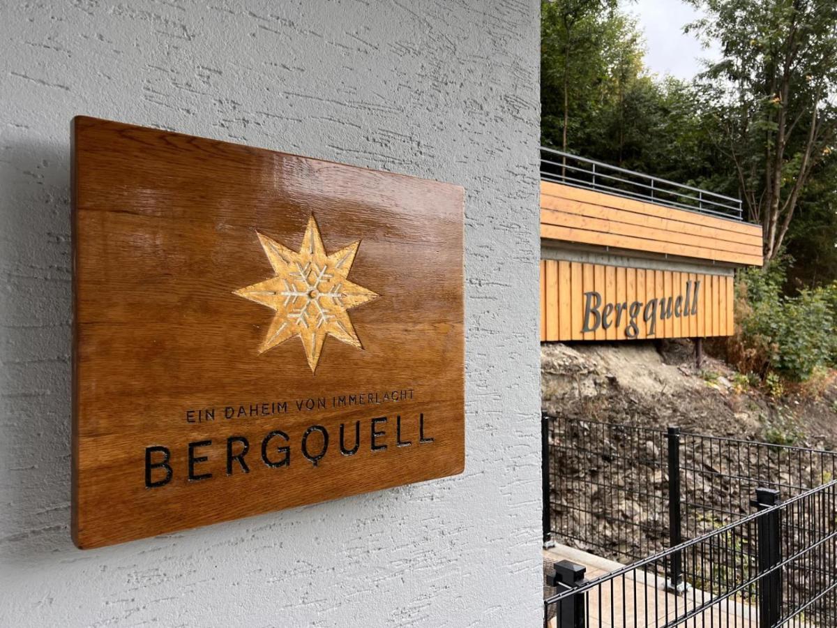 Appartement Haus Bergquell App 2 à Willingen  Extérieur photo